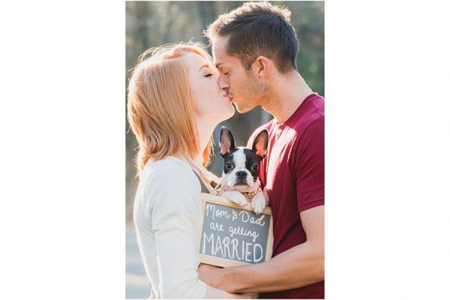 1. Embrace your pet. Furry friends add a cute element and often symbolize an important moment for couples, especially if they picked a pet together. 